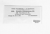 Image Associated With the Occurence